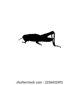 Grasshopper icon. Simple style insect science poster background symbol. Grasshopper brand logo design element. Grasshopper t-shirt printing. vector for sticker.