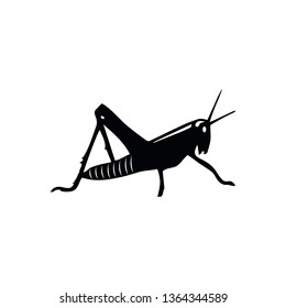 grasshopper icon vector