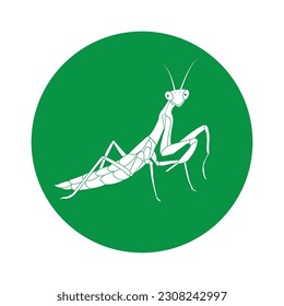 grasshopper icon vector illustration simple design