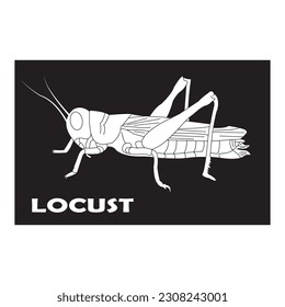 grasshopper icon vector illustration simple design