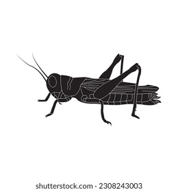 grasshopper icon vector illustration simple design