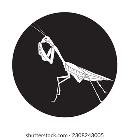 grasshopper icon vector illustration simple design