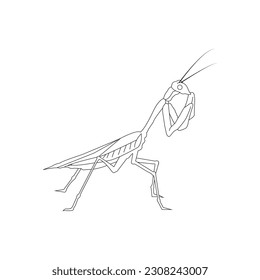 grasshopper icon vector illustration simple design