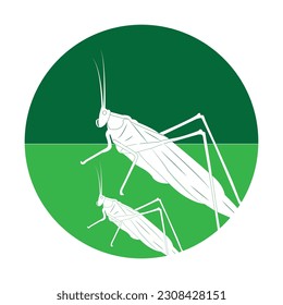 grasshopper icon vector illustration simple design