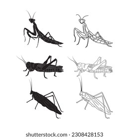 grasshopper icon vector illustration simple design