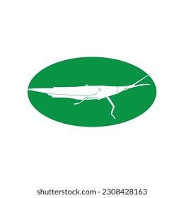 grasshopper icon vector illustration simple design