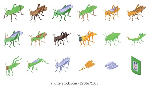 Los iconos de Grasshopper establecen un vector isométrico. Bicho verde. Insulto natural