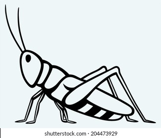 Grasshopper. Image isolated on blue background