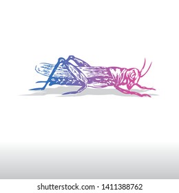 Grasshopper Insect  illustration Vector logo