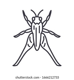 grasshopper insect over white background, line detail style icon, vector illustration