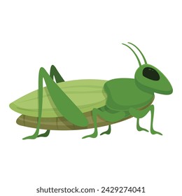 Grasshopper leg icon cartoon vector. Creature bug. Natural insect life