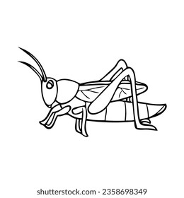 grasshopper line vector illustration,isolated on white background,top view