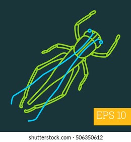 grasshopper linear vector illustration. insect outline icon.