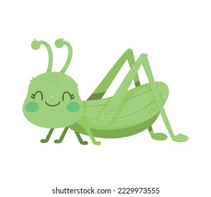 saltamontes, pequeño personaje de un jardín de insectos