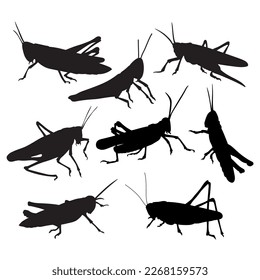 Grasshopper locust bundle for cutting, stencil templates and decals