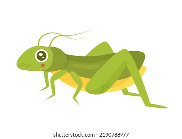 35,267 Jumping Legged Insect Images, Stock Photos & Vectors | Shutterstock