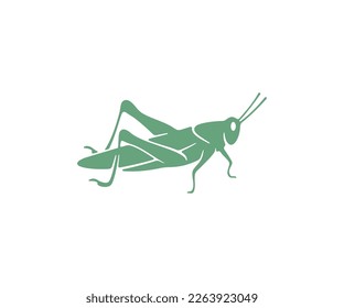 Grasshopper, locust, insect, nature, animal and pests, silhouette and graphic design. Wildlife, fauna, bug, vermin, orthoptera and arthropoda, vector design and illustration