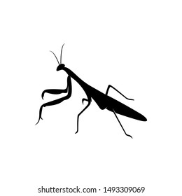 Grasshopper Logo Design Vector Illustration. Grasshopper Design Template