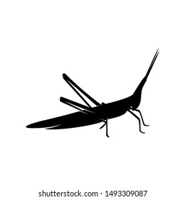 Grasshopper Logo Design Vector Illustration. Grasshopper Design Template