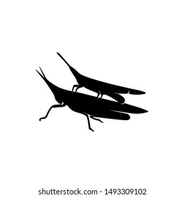 Grasshopper Logo Design Vector Illustration. Grasshopper Design Template