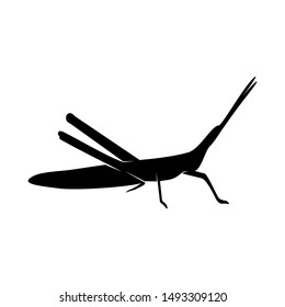 Grasshopper Logo Design Vector Illustration. Grasshopper Design Template