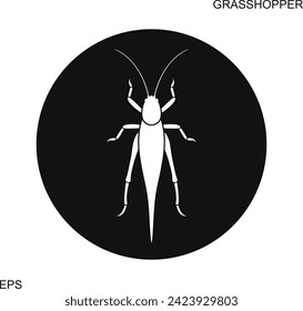 Grasshopper logo. Isolated grasshopper on white background