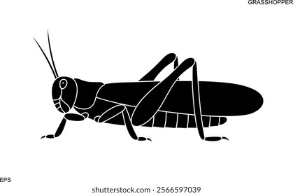 Grasshopper logo. Isolated grasshopper on white background