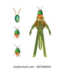 The grasshopper man. You can change heads with emotions as in the constructor. Fantasy superhero.