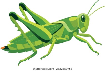 grasshopper mid-jump side profile, insect vector illustration