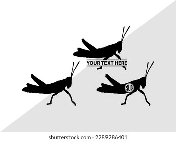 Grasshopper Monogram Vector Illustration Silhouette