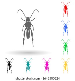 grasshopper multi color style icon. Simple glyph, flat vector of insect icons for ui and ux, website or mobile application