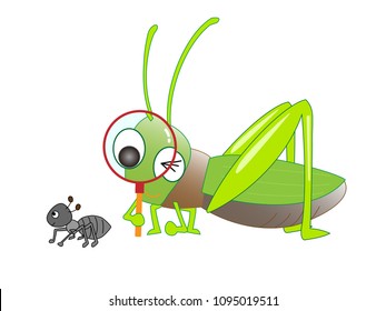 A grasshopper is observing a butterfly with a magnifying glass.
