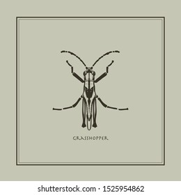 Grasshopper on a beige background in a realistic style. Drawn. Perfect for printing, interior, poster, brand, wall painting, printing on clothes, furniture items. Vector illustration.