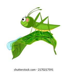 Grasshopper on leaf isolated. Cute cartoon locust crawling on leaf with dew drop. Funny grasshopper in summer nature. Mascot character green beetle.Happy smiling insect.Amusing bug.Vector illustration