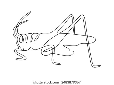 Grasshopper in one continuous line drawing vector illustration