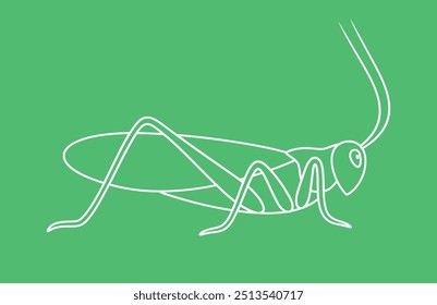 Esquema de saltamontes. Saltamontes aislados sobre fondo blanco