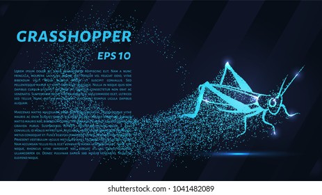 Grasshopper of particles. Silhouette grasshopper is of little circles