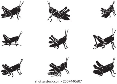 grasshopper silhouette black icon vector illustration on white