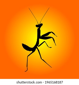 grasshopper silhouette design on yellow background