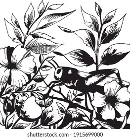 Grasshopper Silhouette Drawing Vector. Perfect for Background design, illustration, etc.