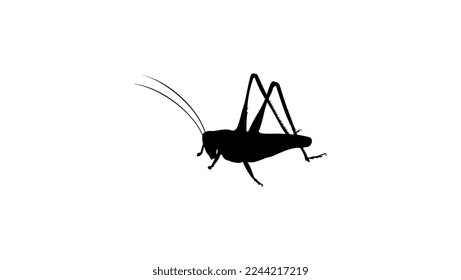 grasshopper silhouette, high quality vector
