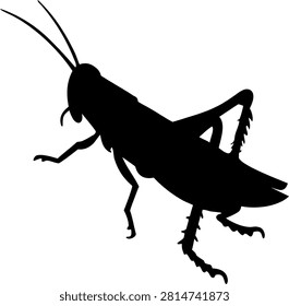 Grasshopper Silhouette Isolated Bug Vector Illustration