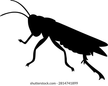Grasshopper Silhouette Isolated Bug Vector Illustration