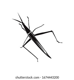 Silueta de grava sobre fondo blanco
