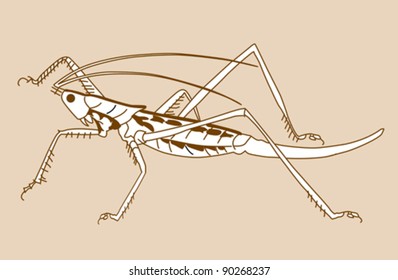 grasshopper silhouette on yellow background, vector illustration
