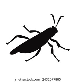 Grasshopper silhouette, grasshopper vector art design isolated, grasshopper vector illustration with white background