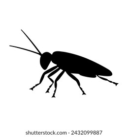 Grasshopper silhouette, grasshopper vector art design isolated, grasshopper vector illustration with white background