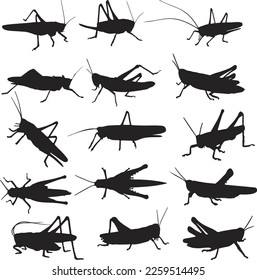 Grasshopper Silhouette Vector Art Icons.