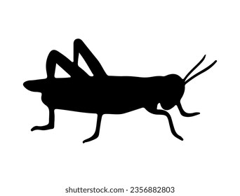 Grasshopper silhouette vector art white background