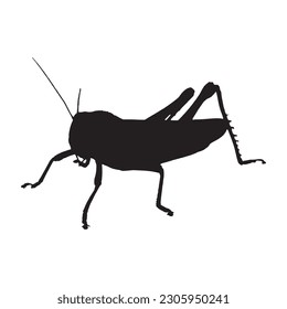 grasshopper silhouette vector black color on white background